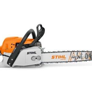 Img 2026 02 10T164100.028